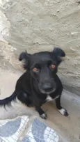 Malú