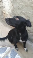 Malú