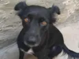 Malú
