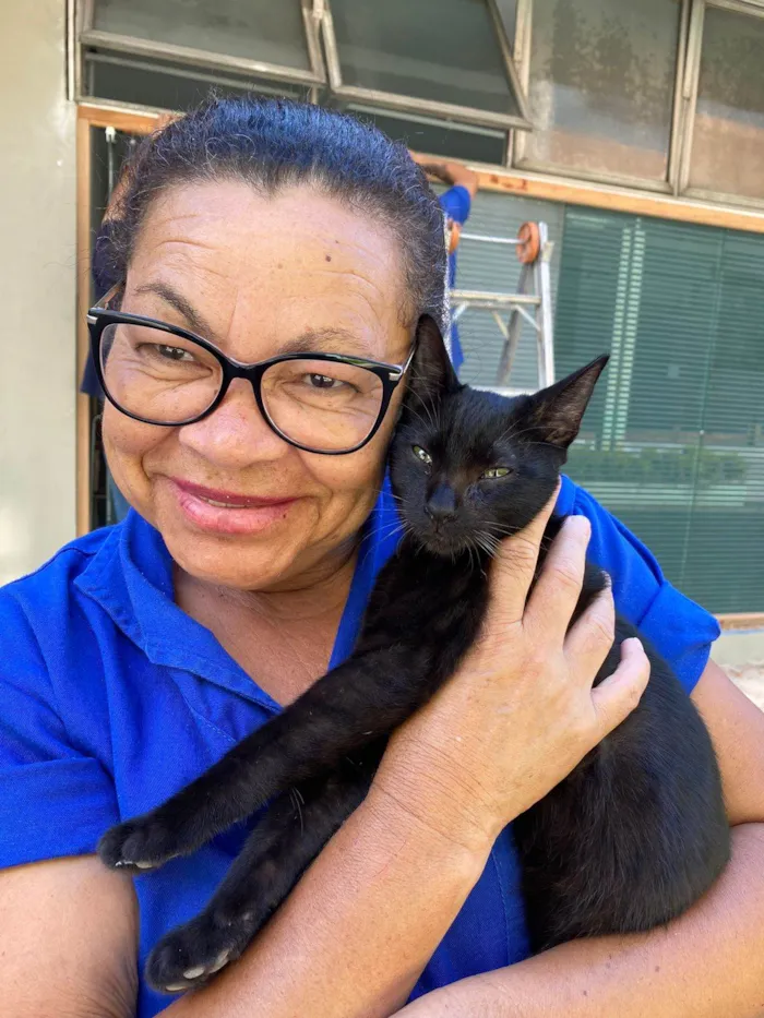 Gato raça SRD-ViraLata idade 2 a 6 meses nome Negresco 