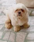 TOBY