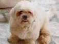 TOBY