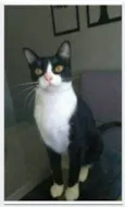 MARGÔ
