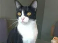 MARGÔ