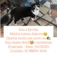 Emília