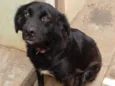 Rubi