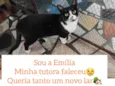 Emília