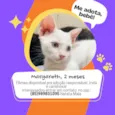 Margareth