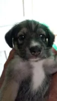 Zoe