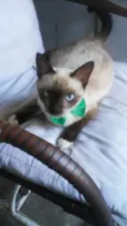 Nina