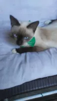 Nina