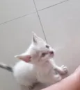 Fred