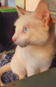 Bob
