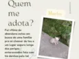 Filhote
