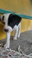 não tem 