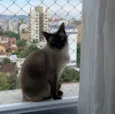 Bartô