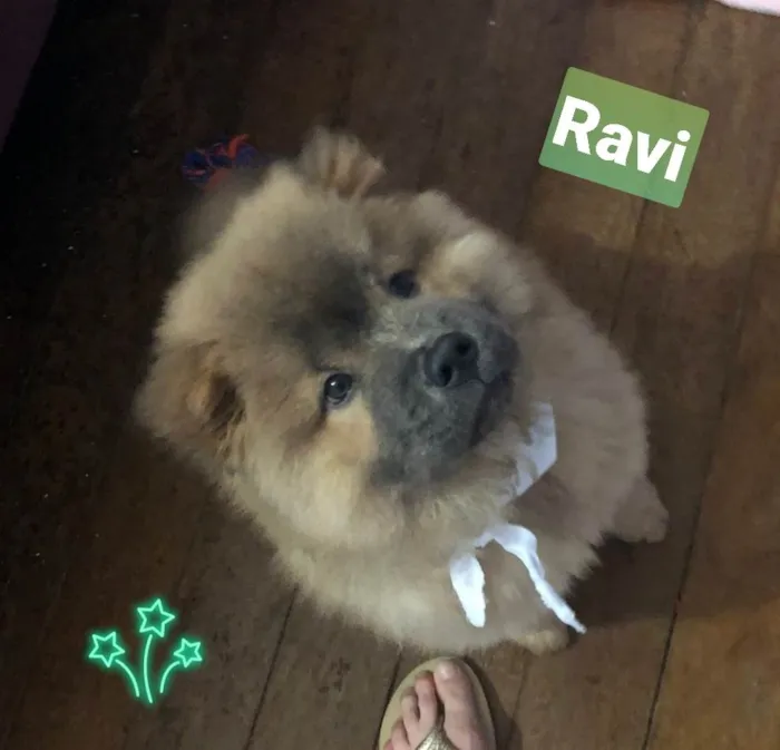 Ravi