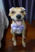 Juliettte