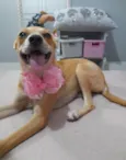 Juliettte
