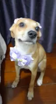 Juliettte