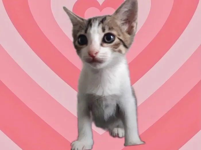 Sophie bb2meses Linda 