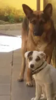 Lucky