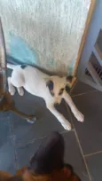 Lucky