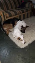 Lucky