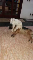 Lucky