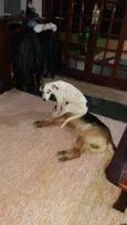 Lucky