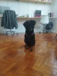 Xonada 