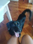 Xonada 