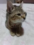 Kiara