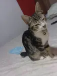 Sol 