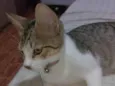 Nininha