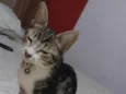 Sol 