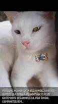 MIA