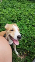 Marley 