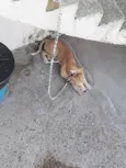 Marley 