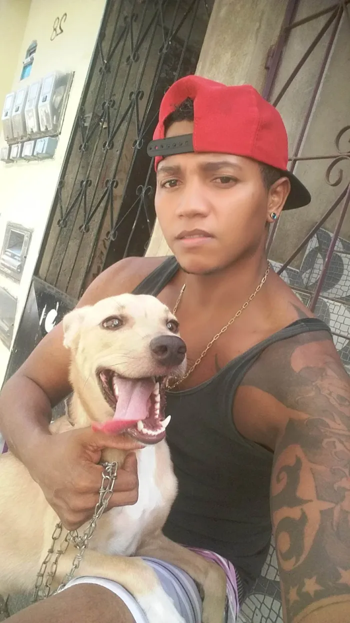 Cachorro ra a SRD-ViraLata idade 4 anos nome Nina