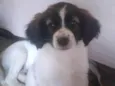 Meg 