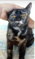 LUÍSA