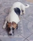 Naila