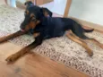 Nina