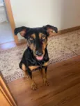 Nina