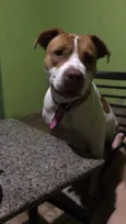 Atena 