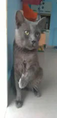 Tito