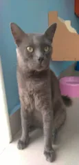 Tito