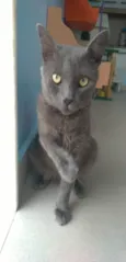 Tito