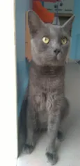 Tito